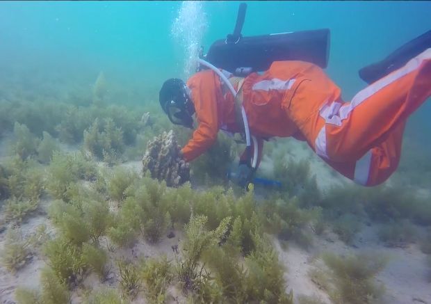 南宫娱乐·NG28(集团)相信品牌的实力官网