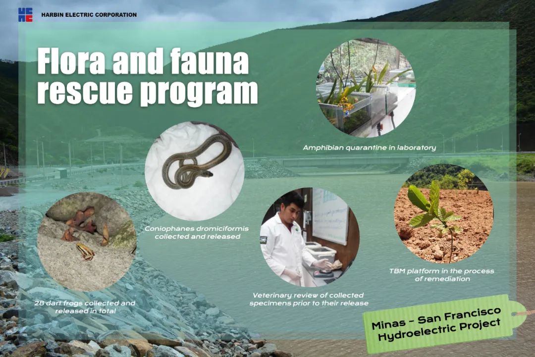 南宫娱乐·NG28(集团)相信品牌的实力官网