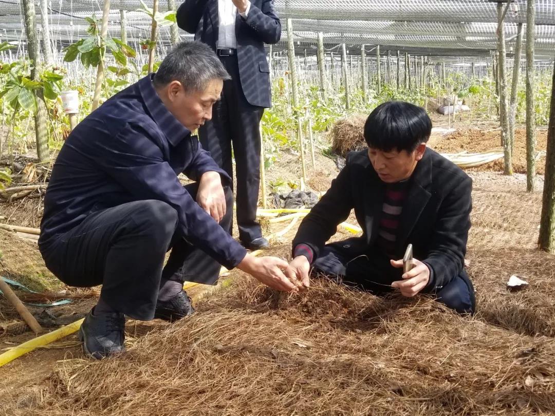 南宫娱乐·NG28(集团)相信品牌的实力官网