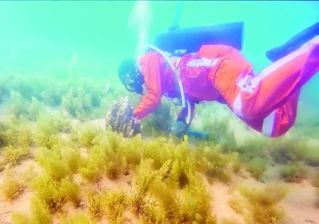 南宫娱乐·NG28(集团)相信品牌的实力官网