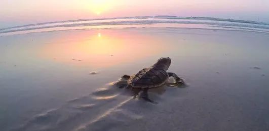 南宫娱乐·NG28(集团)相信品牌的实力官网