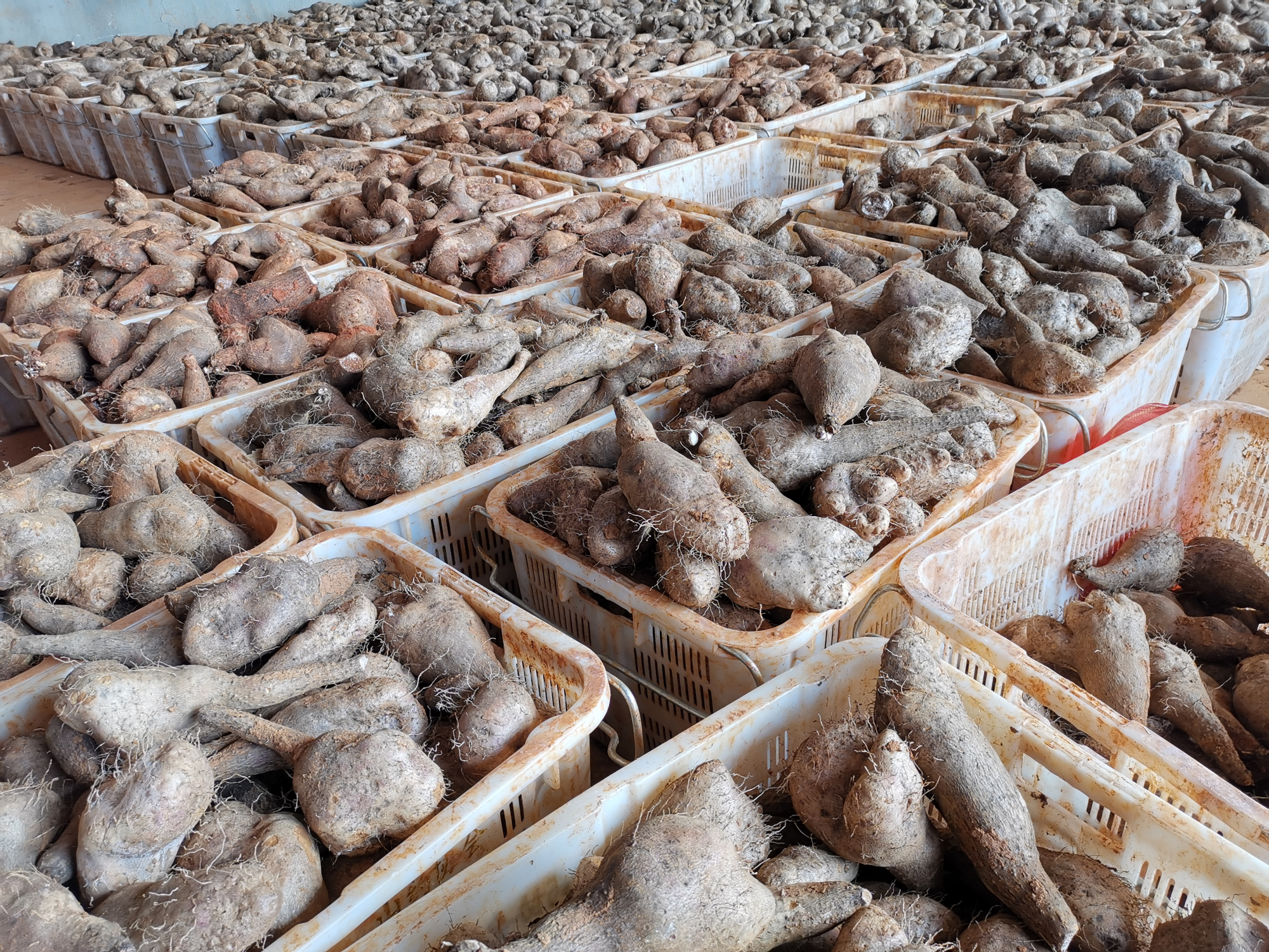 南宫娱乐·NG28(集团)相信品牌的实力官网